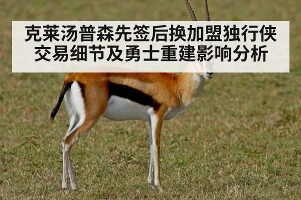 克莱汤普森先签后换加盟独行侠交易细节及勇士重建影响分析