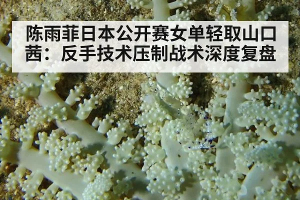 陈雨菲日本公开赛女单轻取山口茜：反手技术压制战术深度复盘