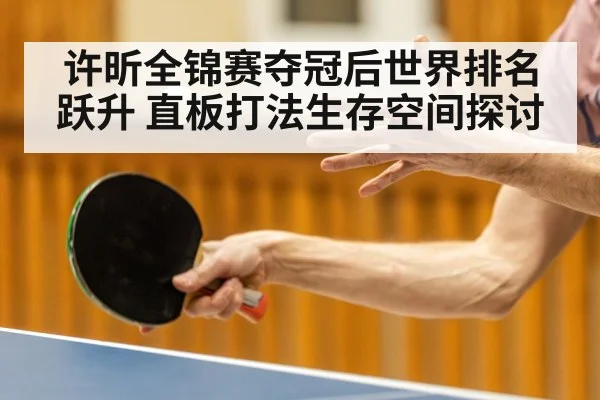 许昕全锦赛夺冠后世界排名跃升 直板打法生存空间探讨